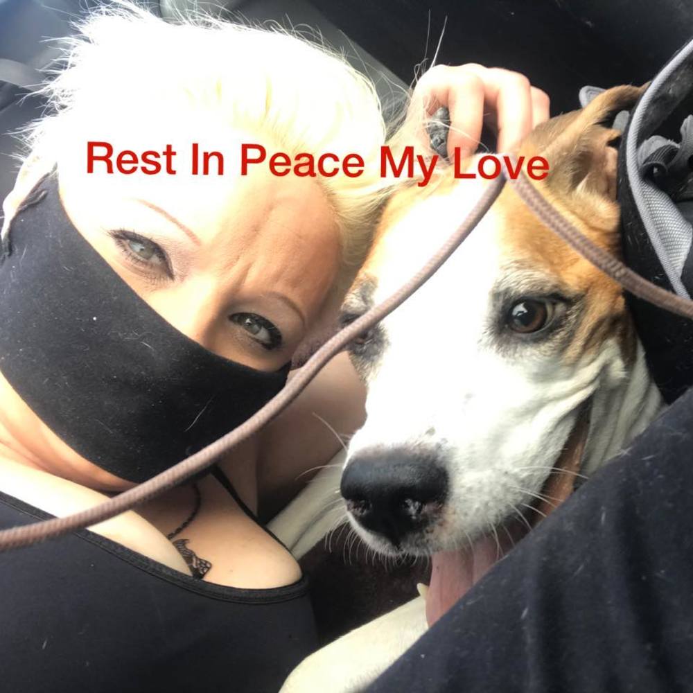 Meet your Posher, Jaime